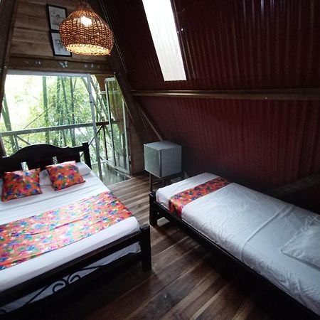 Hostal Las Mariposas Minca Luaran gambar