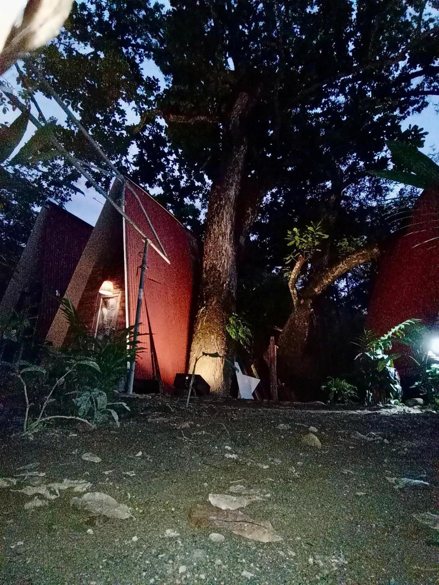 Hostal Las Mariposas Minca Luaran gambar