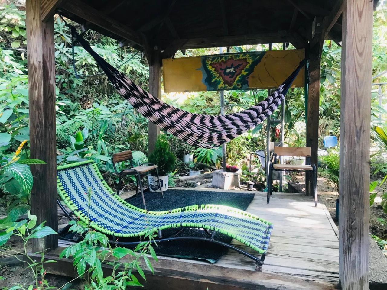 Hostal Las Mariposas Minca Luaran gambar
