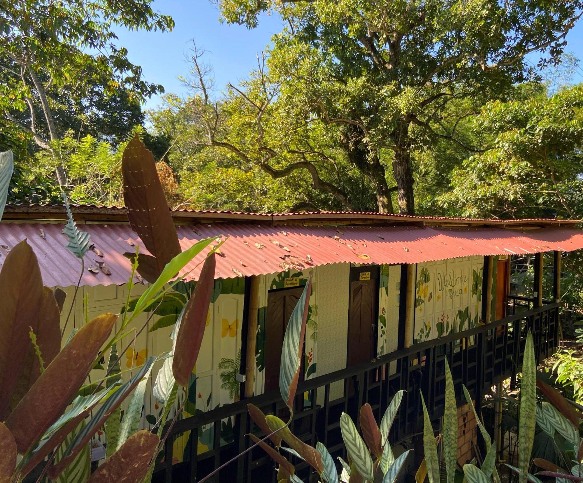 Hostal Las Mariposas Minca Luaran gambar