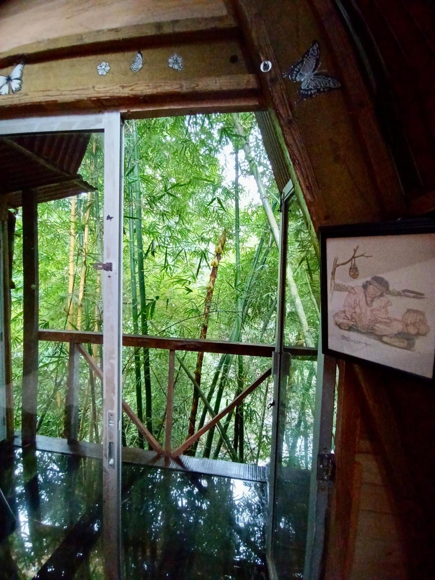 Hostal Las Mariposas Minca Luaran gambar