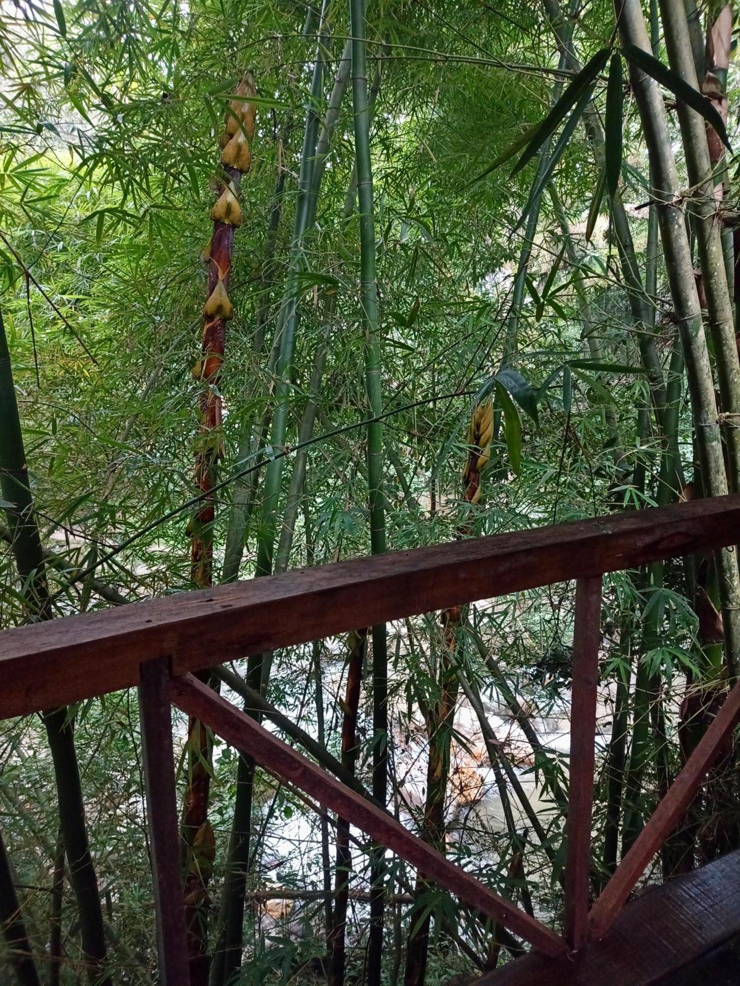 Hostal Las Mariposas Minca Luaran gambar