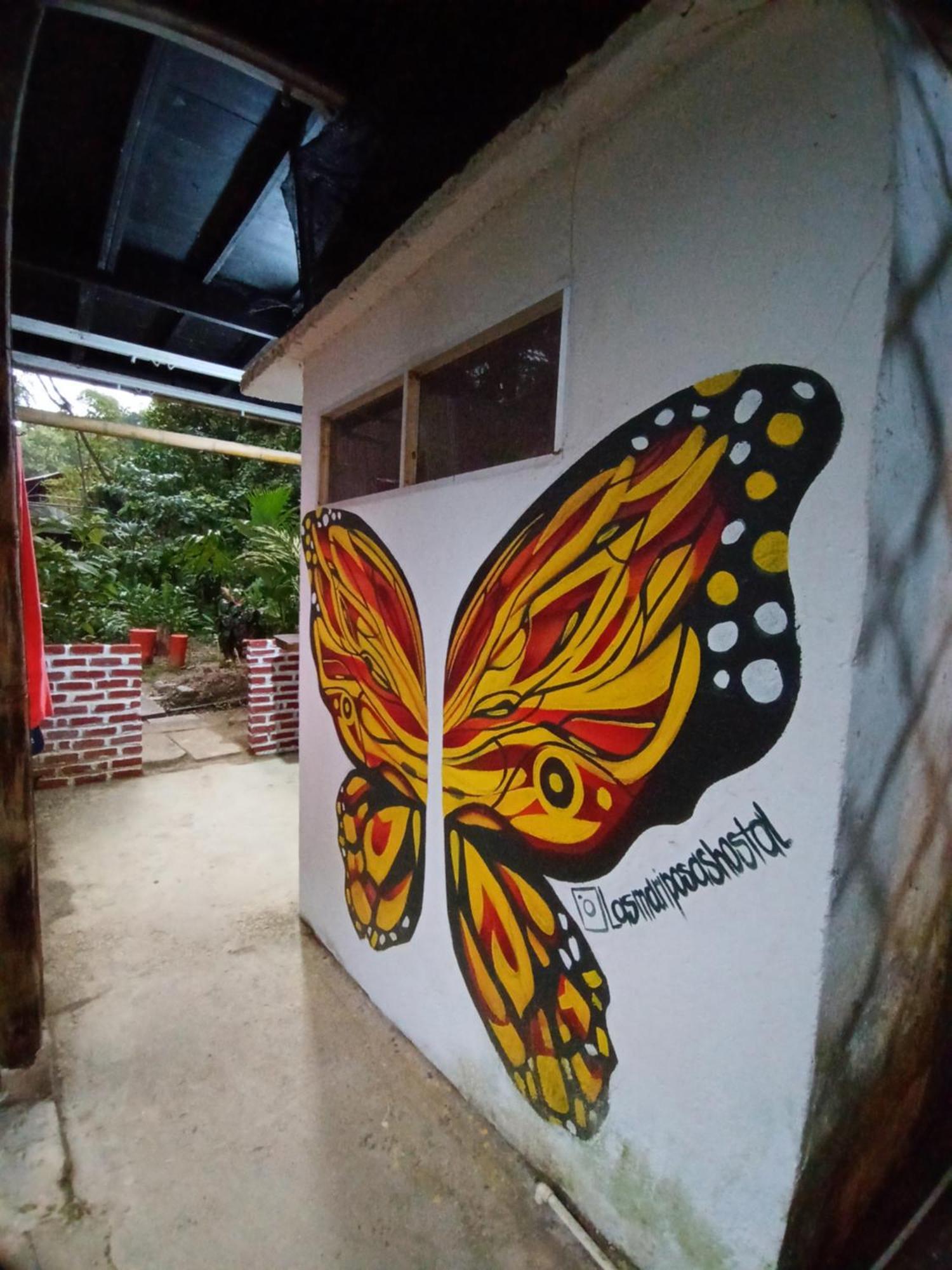 Hostal Las Mariposas Minca Luaran gambar