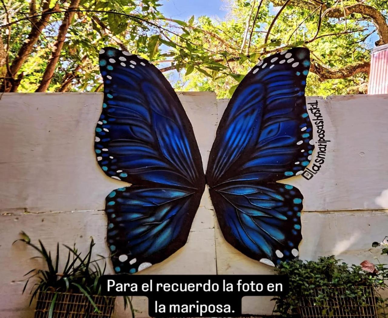 Hostal Las Mariposas Minca Luaran gambar