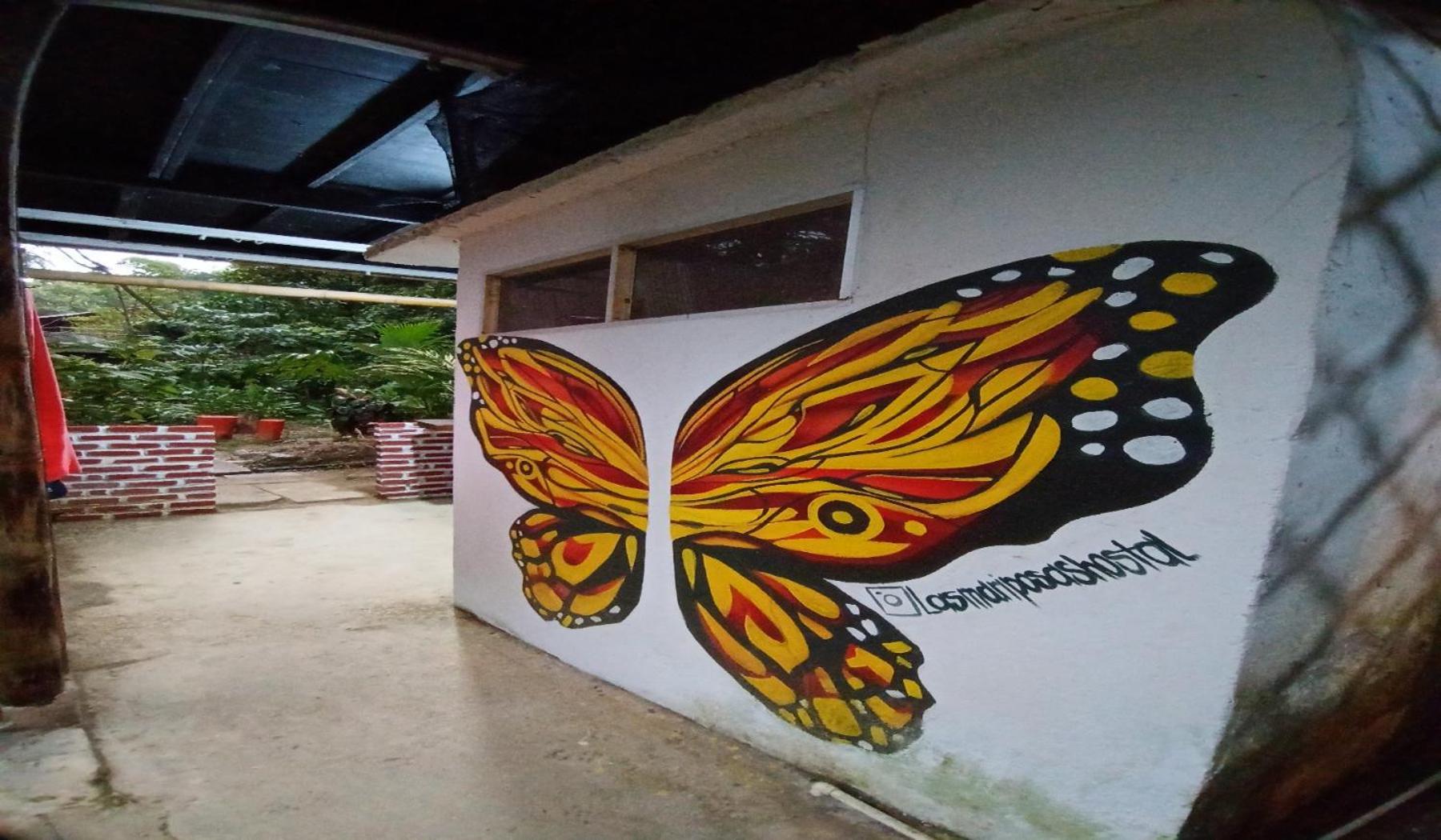 Hostal Las Mariposas Minca Luaran gambar